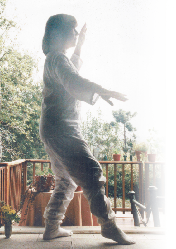 Tai-chi-balcon-inverse