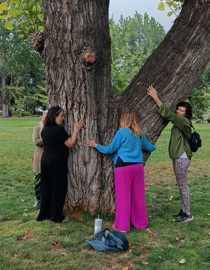 abrazo del arbol