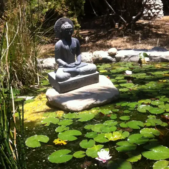 alquimia-interior-taoista