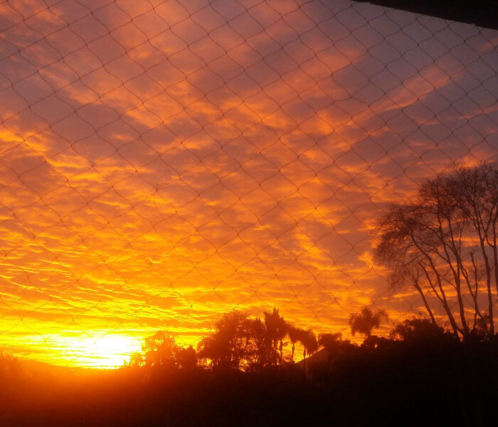 la-sonrisa-interior-taosanador-700x600